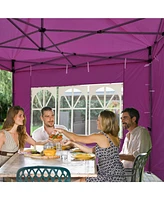 InstaHibit Privacy Window Sidewall UV30+ Fits 10x10ft Canopy Garden 1 Piece