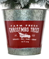 National Tree Company Pre-Lit Feel Real Snowy Pogue Pine Artificial Christmas Entrance Tree 5 ft.