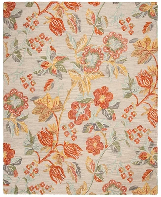 Safavieh Blossom I BLM458 8'x10' Area Rug