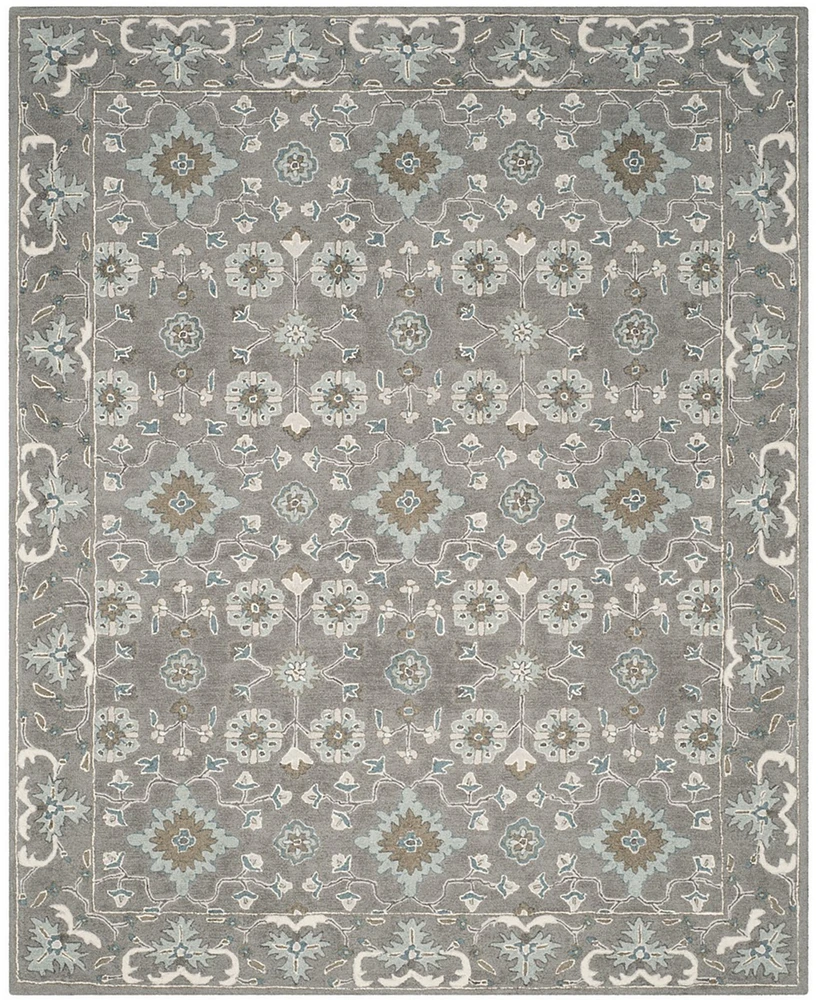 Safavieh Blossom Ii BLM218 8'x10' Area Rug