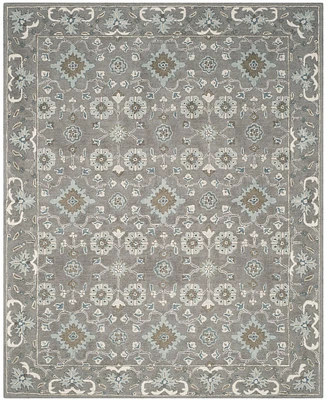 Safavieh Blossom Ii BLM218 8'x10' Area Rug