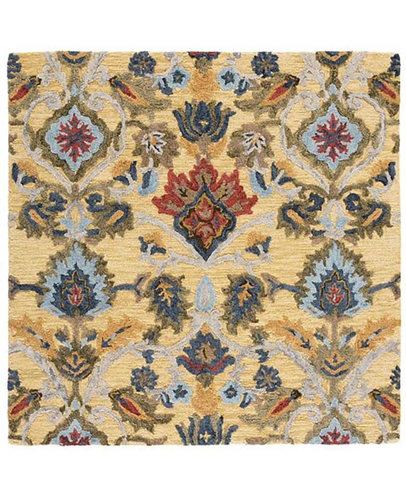 Safavieh Blossom Ii BLM402 8'x8' Square Area Rug