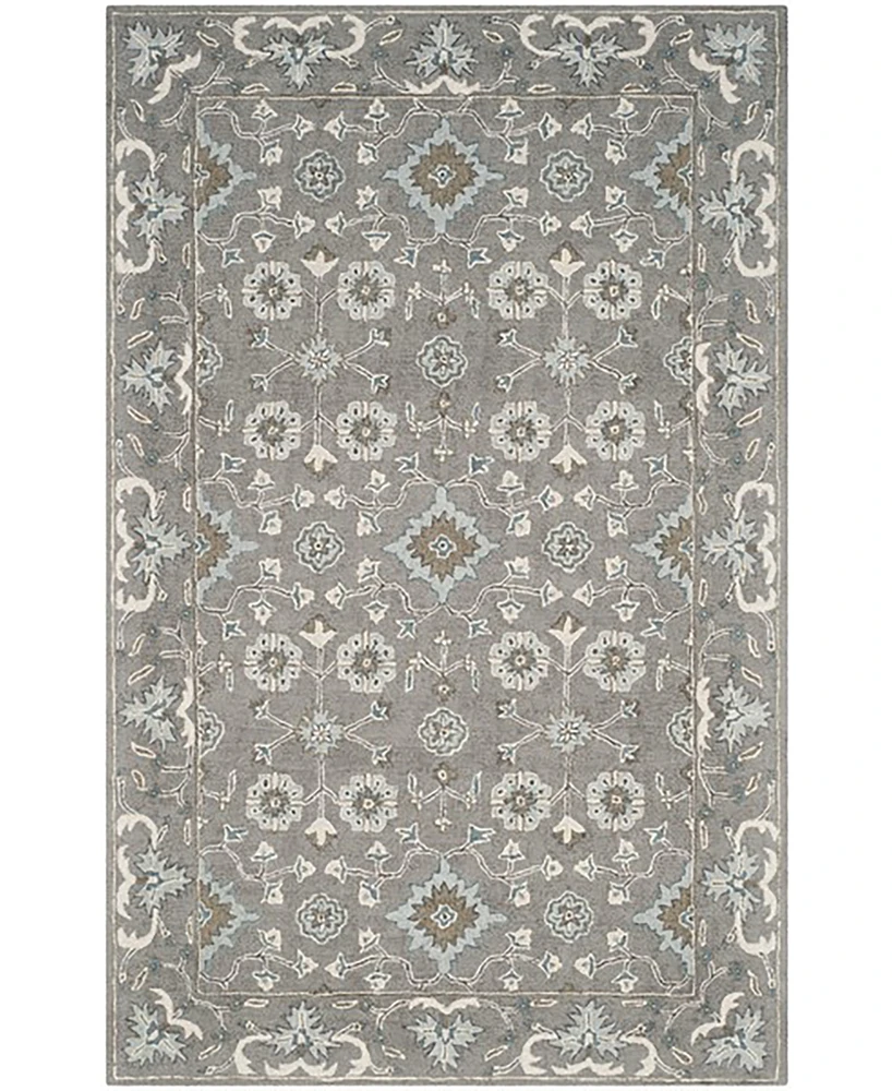 Safavieh Blossom Ii BLM218 2'x3' Area Rug