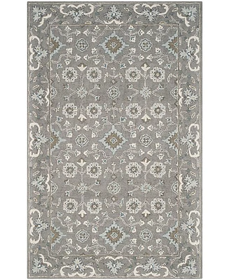 Safavieh Blossom Ii BLM218 2'x3' Area Rug