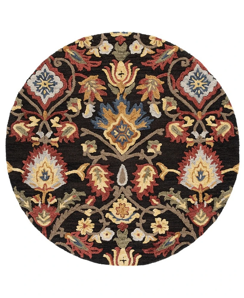 Safavieh Blossom Ii BLM402 6'x6' Round Area Rug