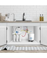 Apec Water Systems 4 Gallon Residential Reverse Osmosis Water Storage Tanks