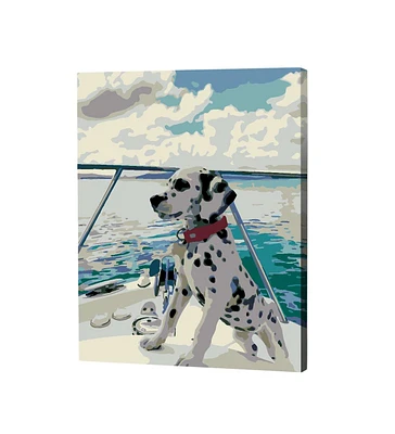 Artwille Paint by Number Kit Dalmatian - Assorted Pre