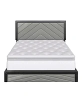 Boyd Sleep Arden 14 Slat Upholstered Platform Bed