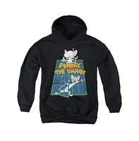 Pinky And The Brain Boys Youth Ol Standard Pull Over Hoodie / Hooded Sweatshirt