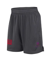 Nike Men's Anthracite Buffalo Bills 2024 Sideline Performance Mesh Shorts