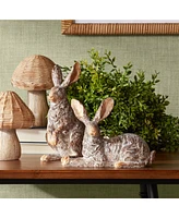 Slickblue Garden Rabbit Traditional Figurine (Set of 2)