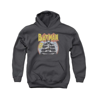 Dc Comics Boys Youth Foggy Pull Over Hoodie / Hooded Sweatshirt