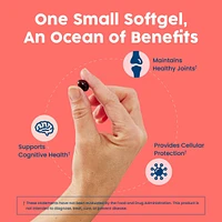 NativePath Antarctic Krill Oil - Wild-Caught Omega 3 Krill Oil 500mg Softgels with Epa, Dha and Astaxanthin - 60 ct