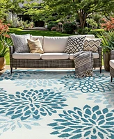 Main Street Rugs Hana Outdoor 7'10"x10' Area Rug