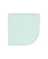 Hudson Baby Infant Girl Flannel Washcloths, Eucalyptus 12Pk, One Size