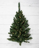 Northlight 3' Buffalo Fir Artificial Christmas Wall or Door Tree