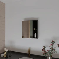 Fm Furniture Lincoln Medicine Cabinet w/ Mirror