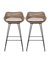 Simplie Fun Wicker And Iron Barstools With Cushions (Set Of 2)