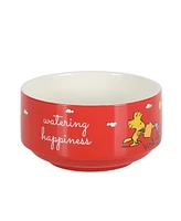 Peanuts Snoopy 4 Pack Stackable 5.5" Decorate Stoneware Bowl Set