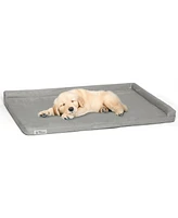 PetFusion PuppyChoice Solid Foam Dog Crate Bed, Grey