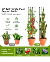 Givimo 2-Pack Garden Trellis Tomato Cage with Adjustable Height
