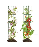 Givimo 2-Pack Garden Trellis Tomato Cage with Adjustable Height