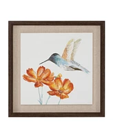 Slickblue Framed Hummingbird Print (Set of 2) 12"Sq Mdf/Canvas/Plastic