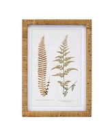 Slickblue Framed Fern Print for Lush Wall Art and Elegant Home Decor (Set of 4)