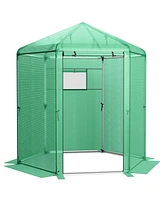 Skonyon Walk-In Hexagonal Greenhouse with Pe Cover and Metal Frame