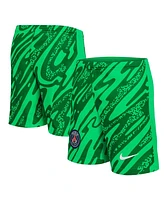 Nike Big Boys and Girls Green Paris Saint-Germain 2024/25 Goalkeeper Stadium Shorts