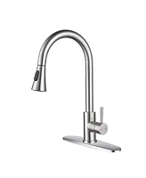 Streamdale Furniture Kitchen Faucet With Pull Out Sprayer