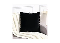 Caromio 2Pcs Tassels Velvet Decorative Throw Pillow Covers 18" x