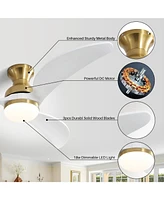 Sofucor 52 Smart Low Profile Flush Mount Ceiling Fan