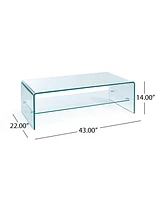 Sleek Glass Coffee Table With Shelf