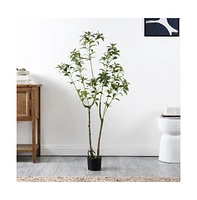 Safavieh Faux Pieris Japonica 60" Potted Plant