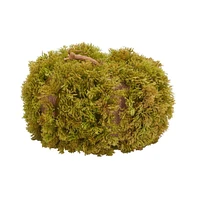 Safavieh Faux 10 Inch Moss Pumpkin