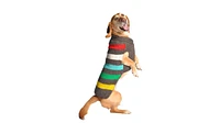 Chilly Dog Charcoal Stripe