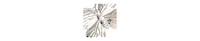 Sohi Women's Butterfly Waist Chain