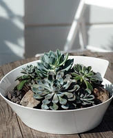 Villeroy & Boch New Wave Round Salad Bowl