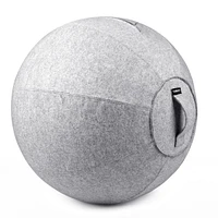 Bintiva Stability Ball with Felt Cover - 65cm