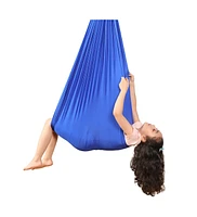 Bintiva Sensory Hanging Swing - Blue