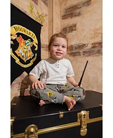 Harry Potter Gryffindor Slytherin Hufflepuff Ravenclaw Fleece 2 Pack Jogger Pants Toddler to Big Kid