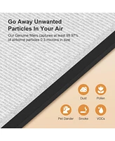 Morento HY4866 Genuine Air Purifier Replacement Filter for HY4866 Air Purifer, Pack