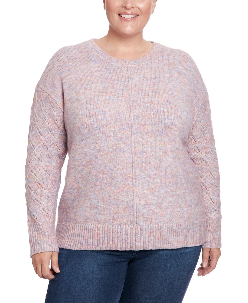 Joseph A Plus Size Space Dyed Pullover Sweater