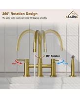 Casainc Kitchen Faucet with Pull Down Sprayer and Faucet Side Sprayer