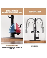 Casainc 1.8 Gpm Spring Neck Pull Down Kitchen Faucet with Deck Plate