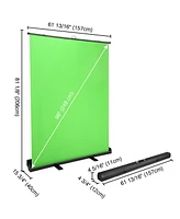 Yescom 4 Pack 62x81inch Floor Standing Green Screen Panel Collapsible Background for Video