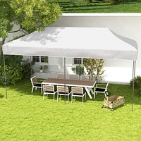 10' x 20' Instant Canopy Tent with 3-Level Height