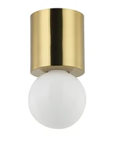 Dainolite 5" Metal Theron 1 Light Globe Flush Mount