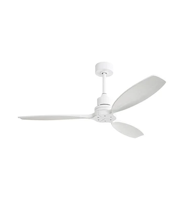 Sofucor 52" Outdoor ceiling fan without lights, 3 Blades